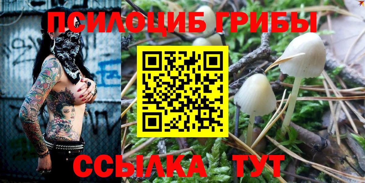 Галлюциногенные грибы Psilocybine cubensis  Вход с VPN  Тайшет 