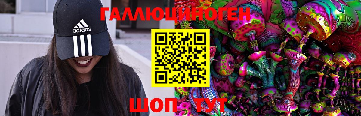 Галлюциногенные грибы Psilocybe Тайшет